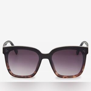 Vince Camuto Black and Brown Sunglasses